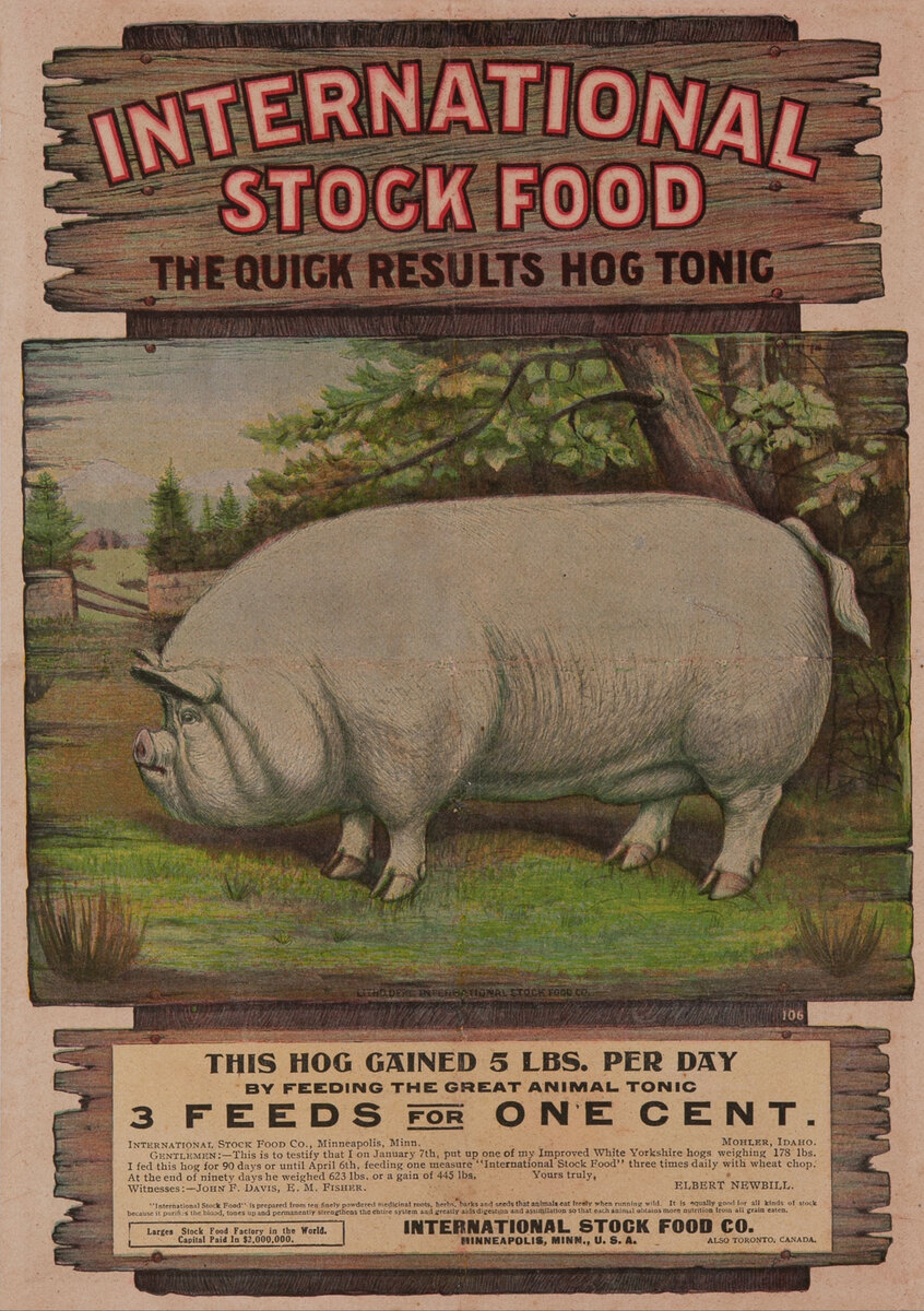 International Stock Food The Quick Result Hog Tonic