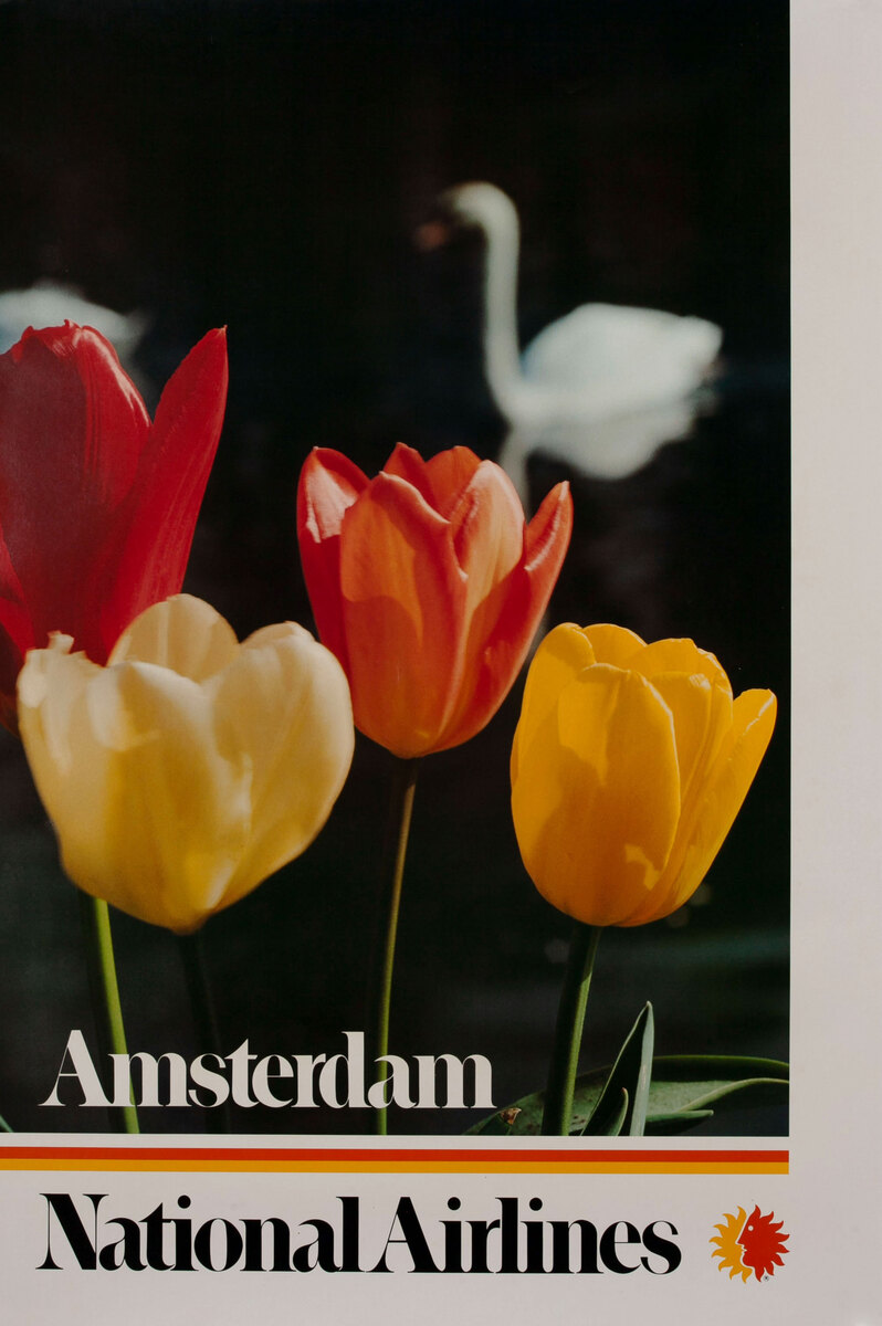 National Airlines Amsterdam Tulips