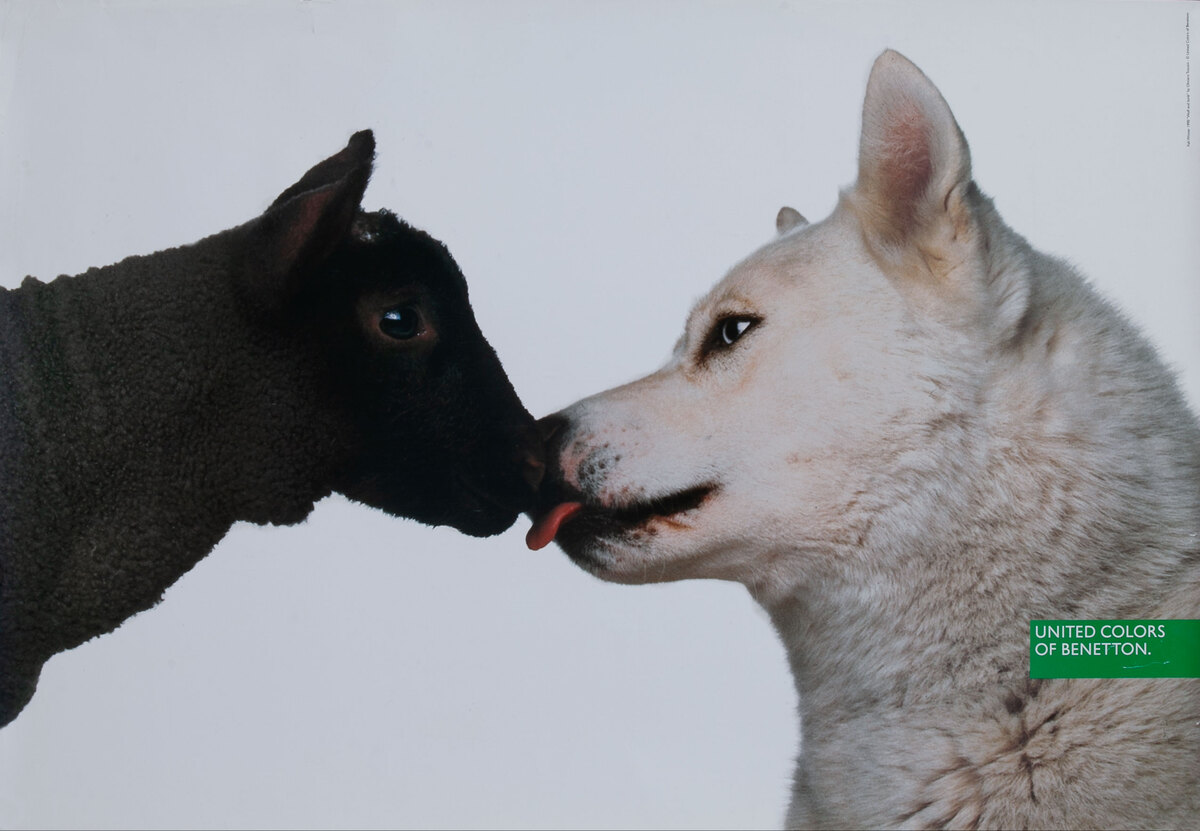 United Colors of Benetton Advertising Poster - Sheep & Dog