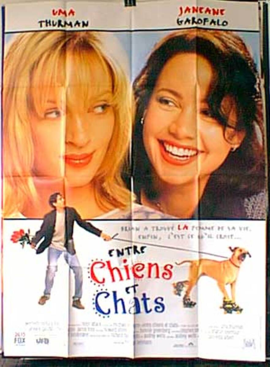 The Truth About Cats and Dogs Original French Movie Poster