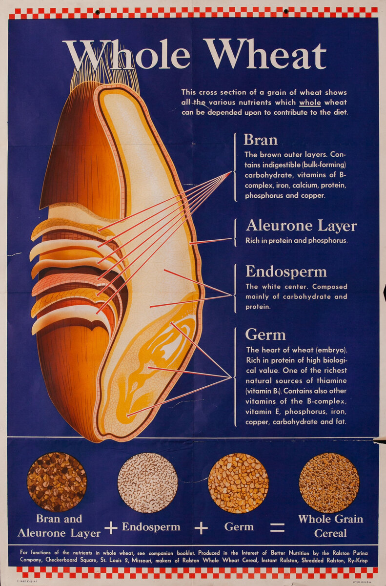 Whole Wheat Purina Nutrition Health Poster