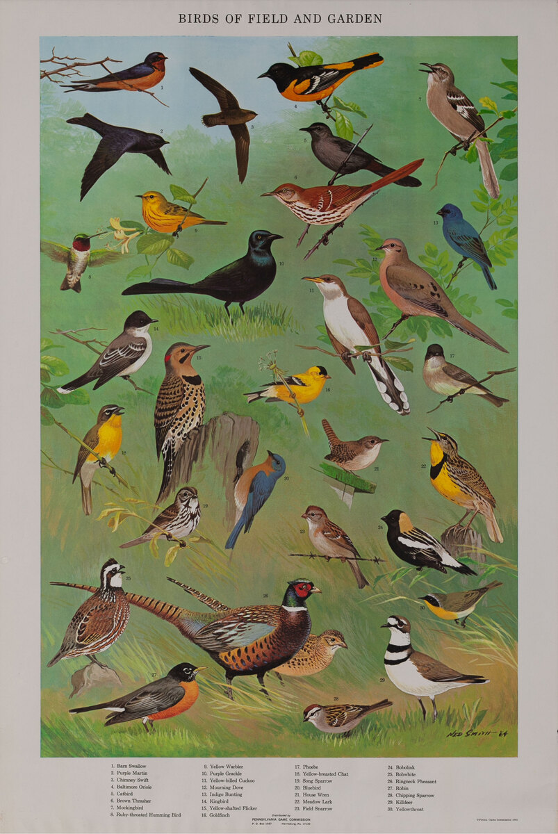 Birds of Field and Garden - Pennsylvania Game Commision Wildlife Poster