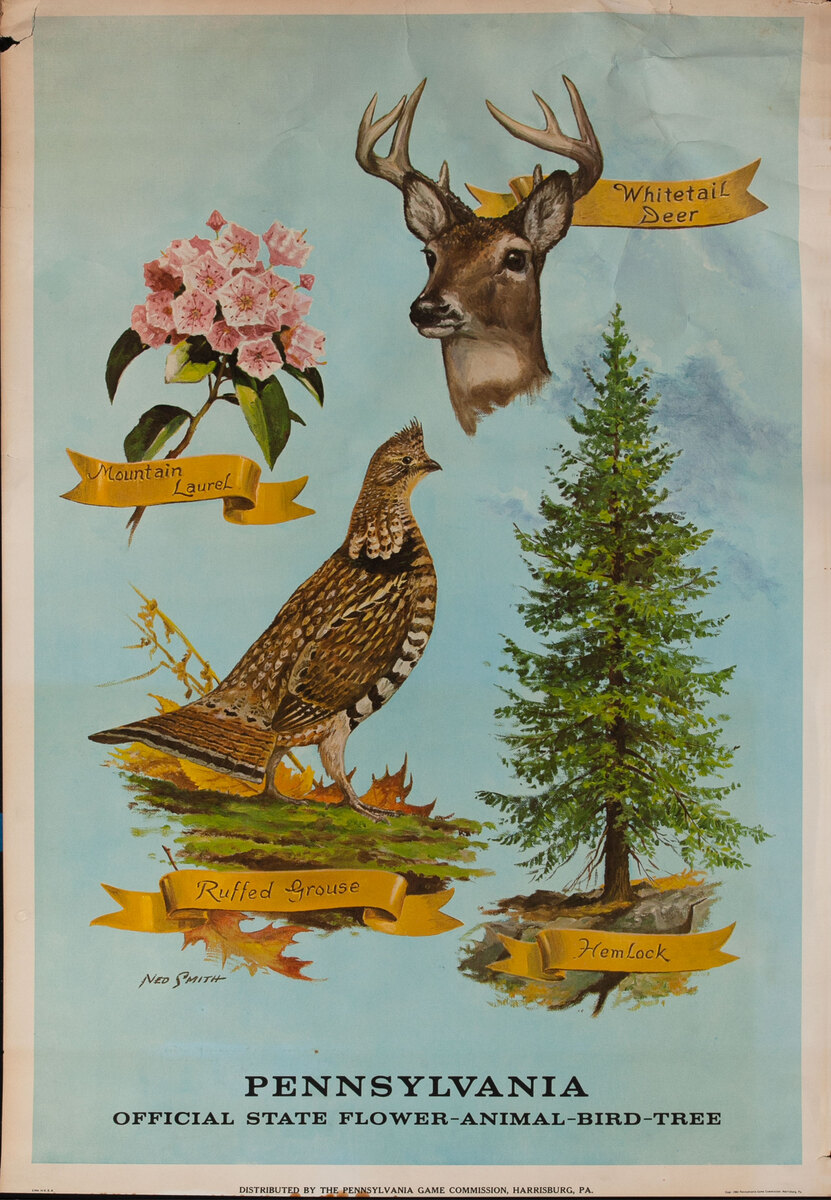 Official State Flower - Animal - Bird - Tree Pennsylvania Game Commision Wildlife Poster