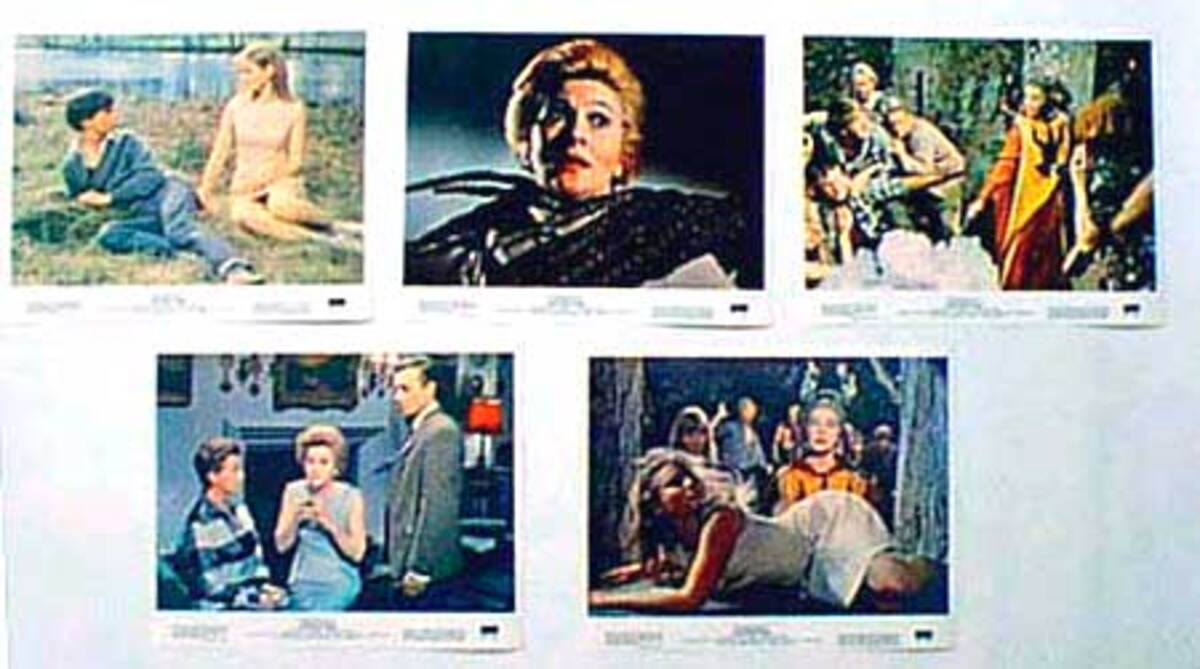 Original 8 x 10  Movie Lobby Card Set The Devils Own aka The Witches