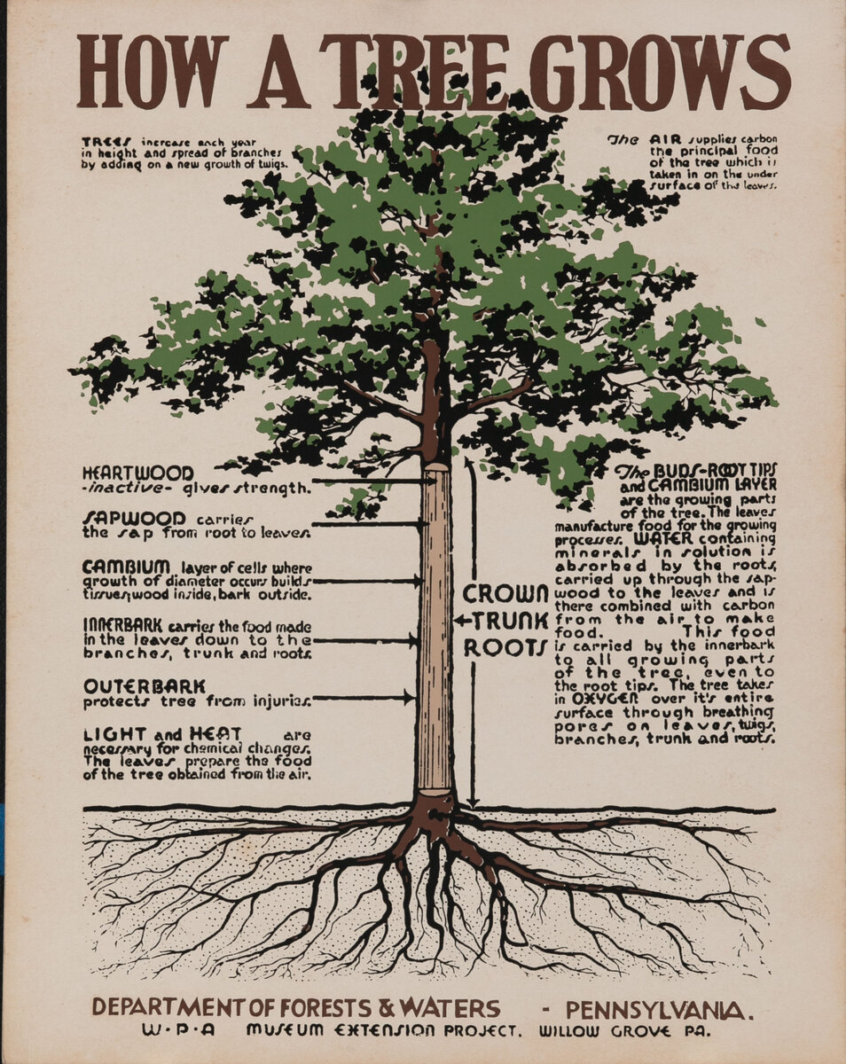 How a Tree Grows Original WPA Museum Extension Project Poster