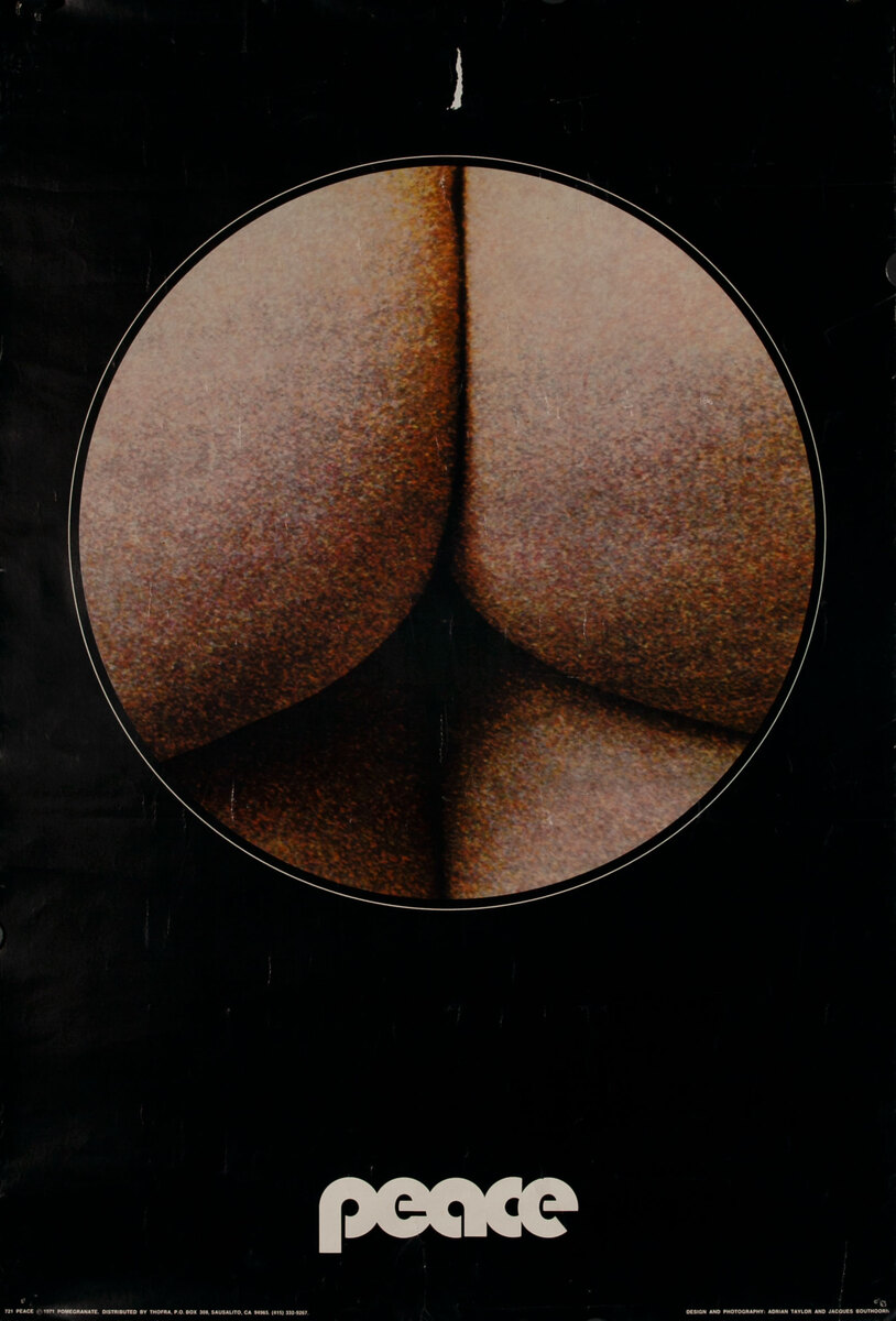 Peace Sign Protest Poster - Naked Rear