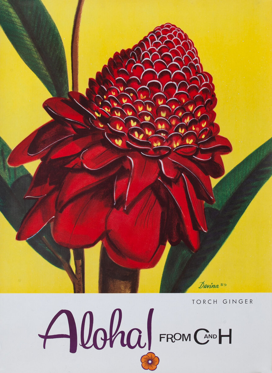 Aloha From  C & H Sugar Original American Advertising Poster Torch Ginger