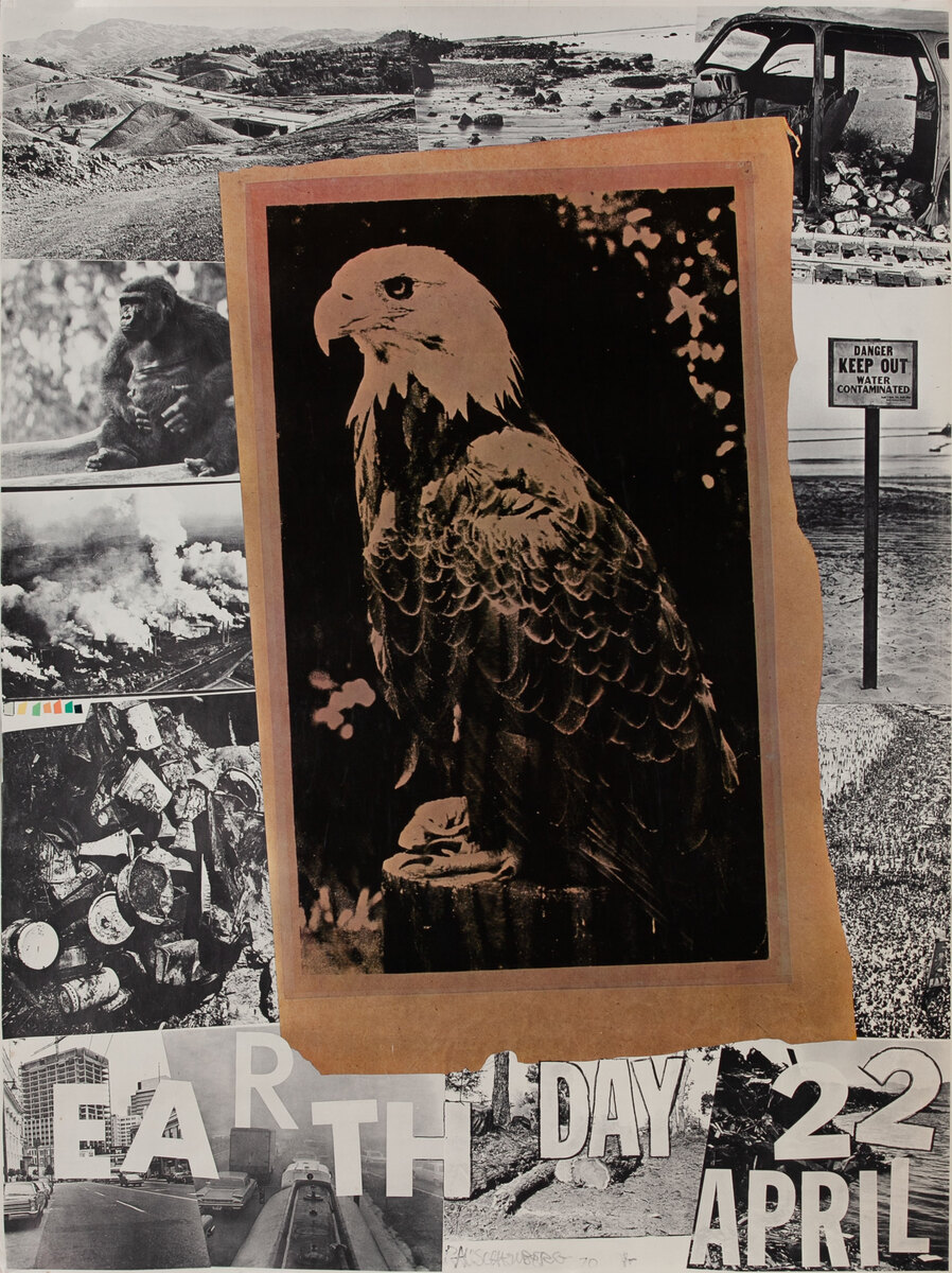 Earth Day 22 April Robert Rauschenberg Poster