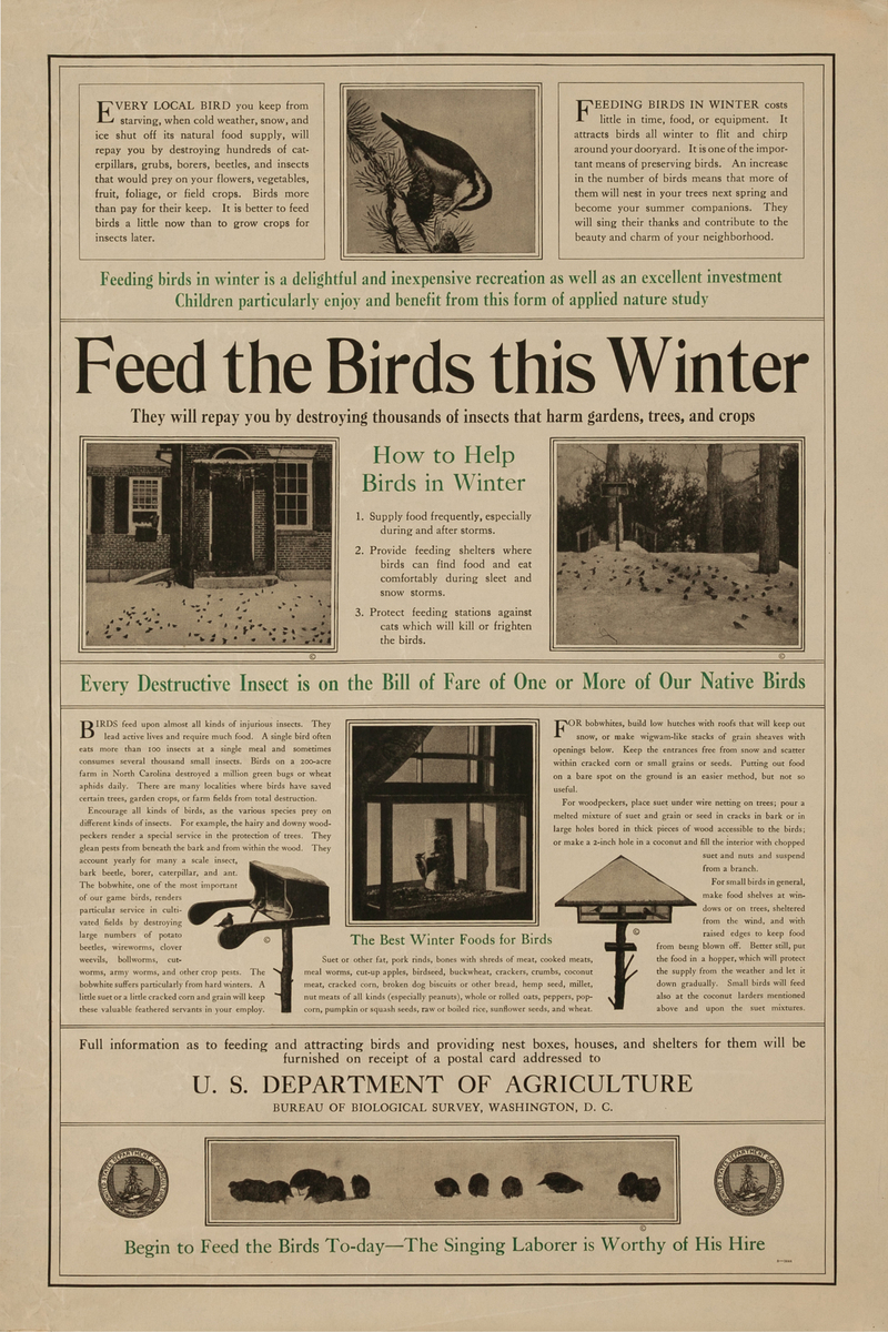 Feed the Birds This Winter Original WWI U.S. Department of Agriculture Poster