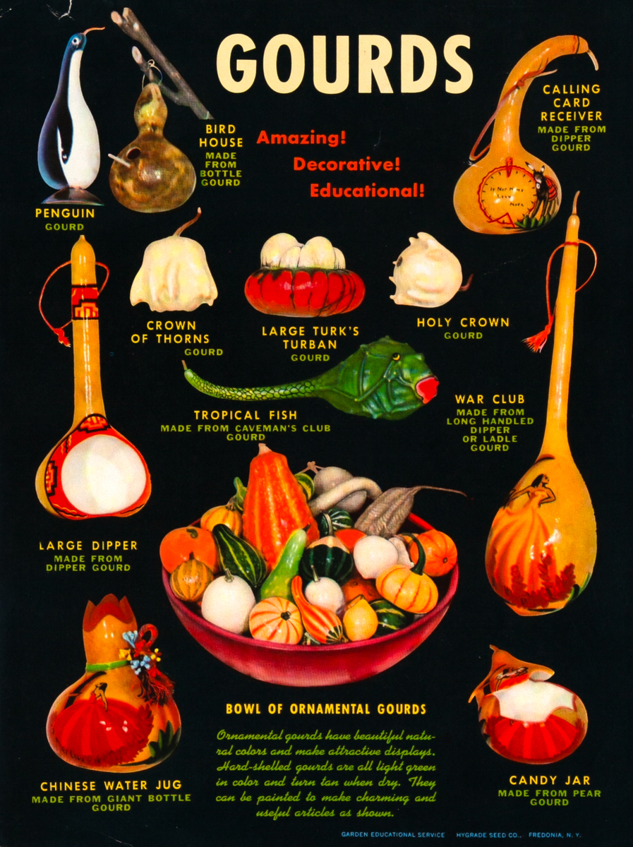 Gourds - Amazing! Decorative! Educational! Original Garden Educational Service Poster