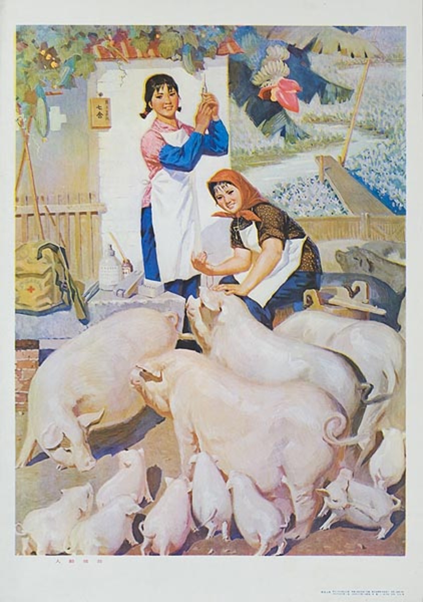 Original Chinese Cultural Revolution Poster Caring For Pigs