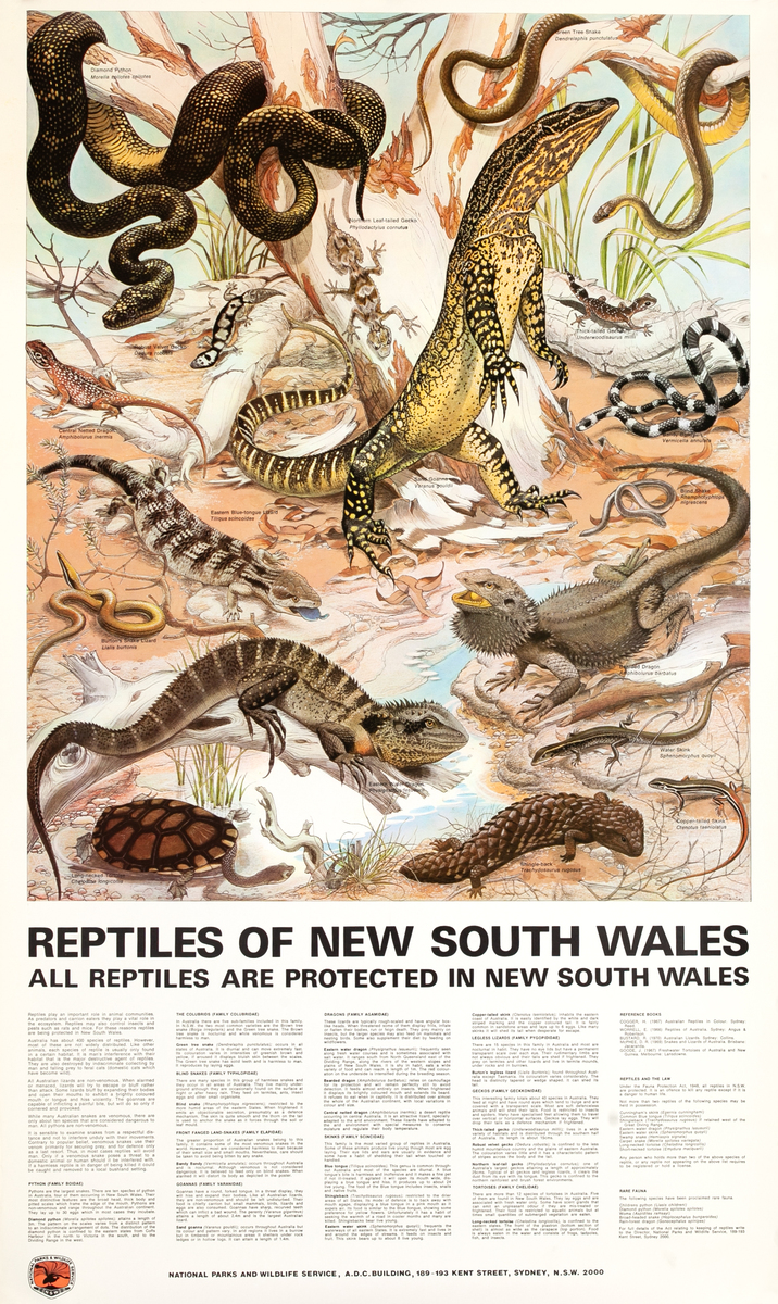 Reptiles of New South Wales Original Australian Flora and Fauna Poster