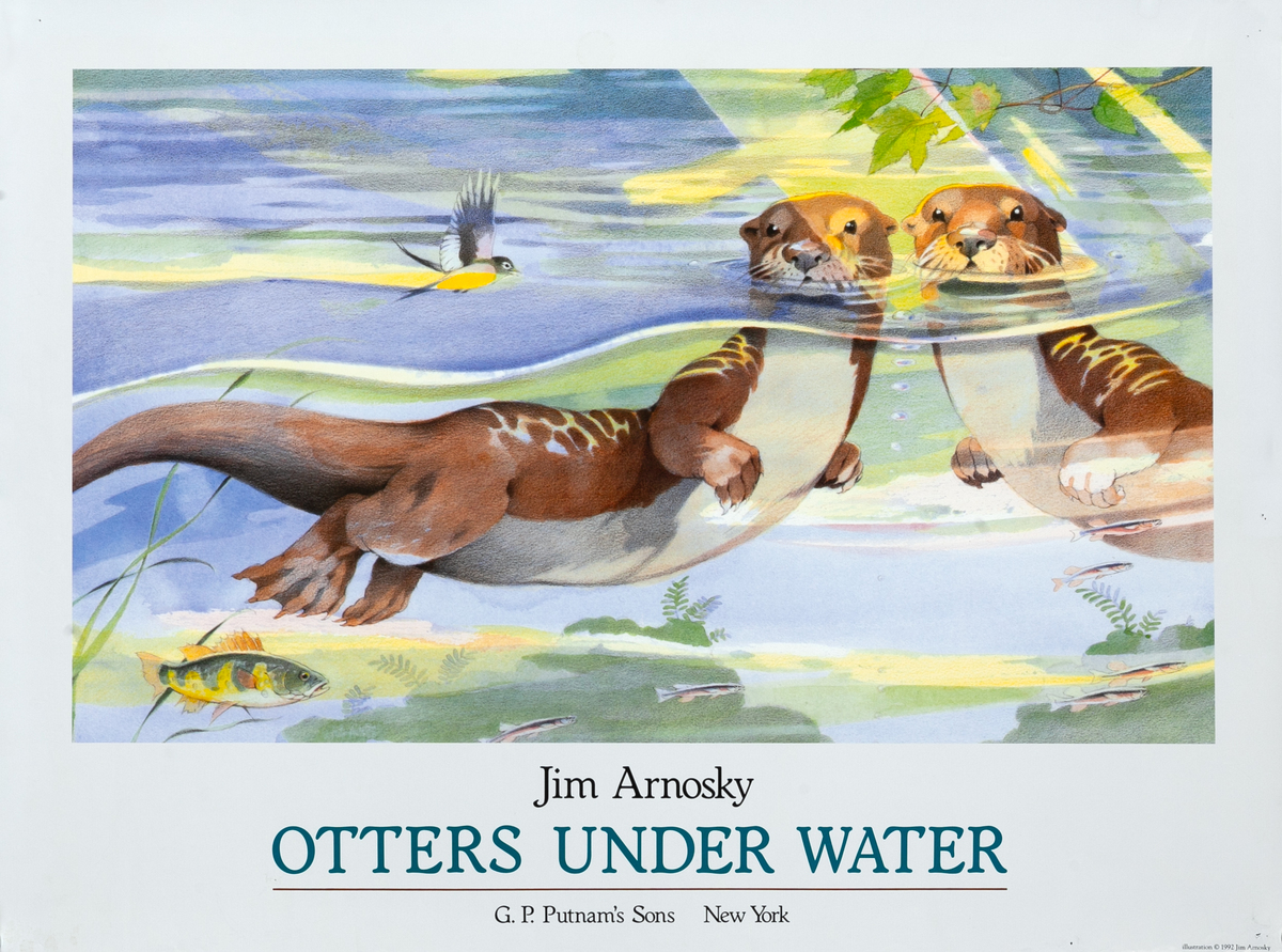 Jim Arnosky Otters Under Water Original Children's Book Poster