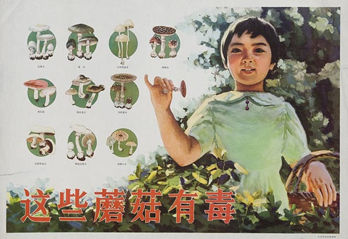 AAA Original Chinese Cultural Revolution Poster Edible Mushroom Chart