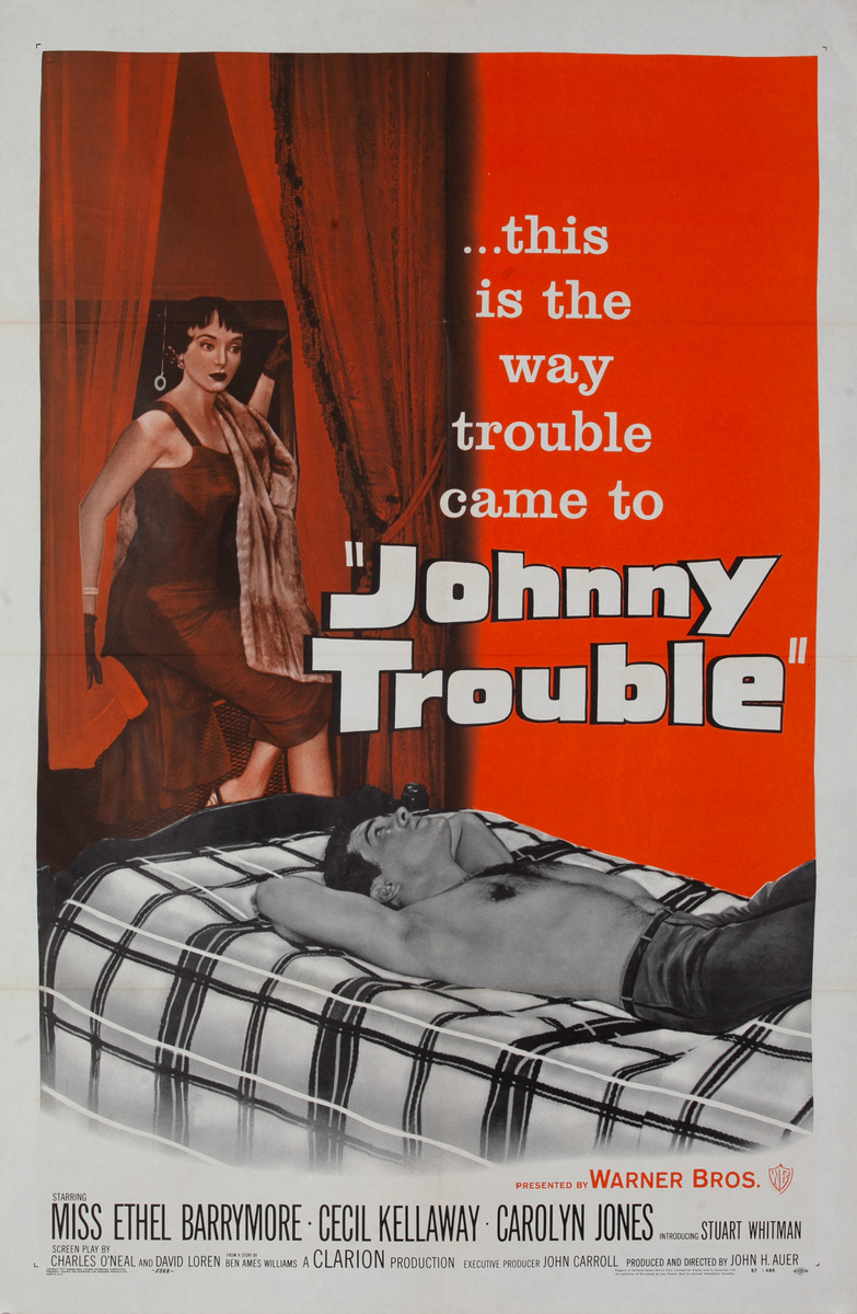 Johnny Trouble, 1 Sheet Movie Poster