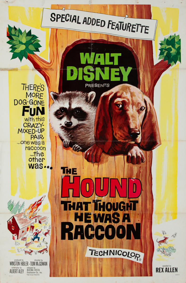 The Hound That Thought He Was a Raccoon, 1 Sheet Movie Poster