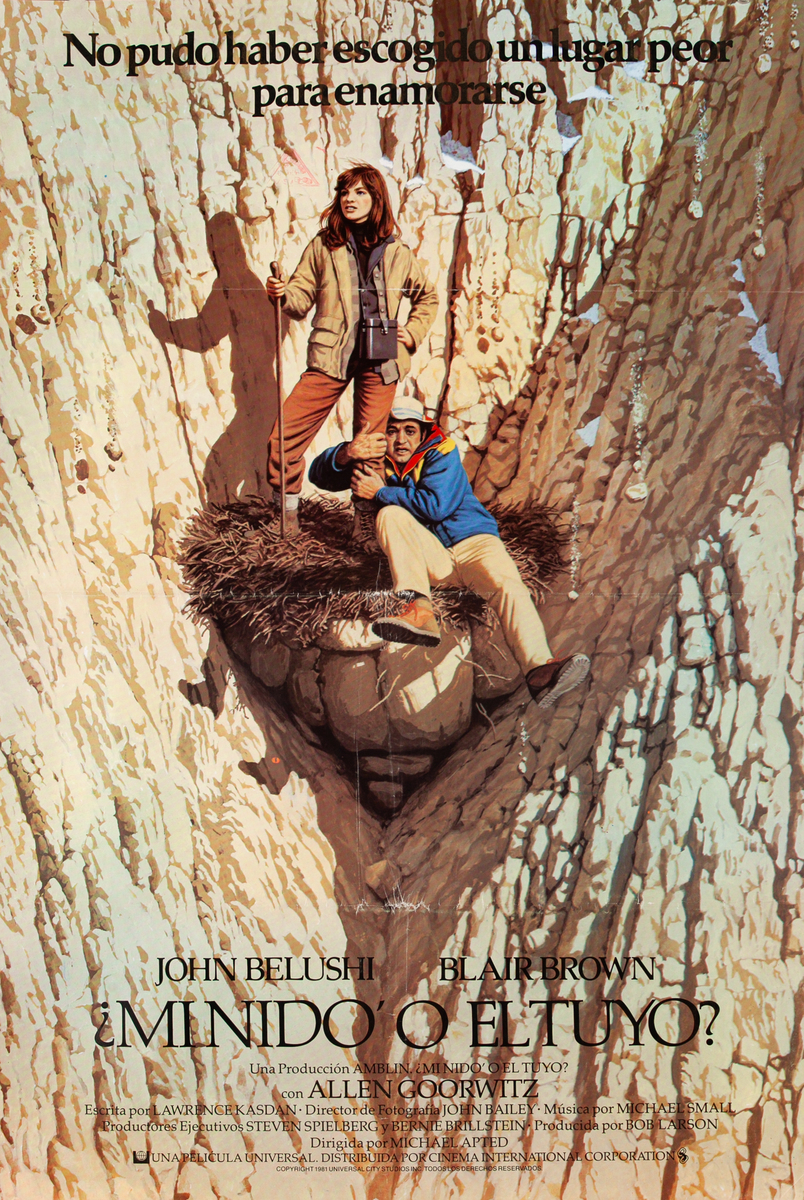 Continental Divide, spanish 1 Sheet Movie Poster