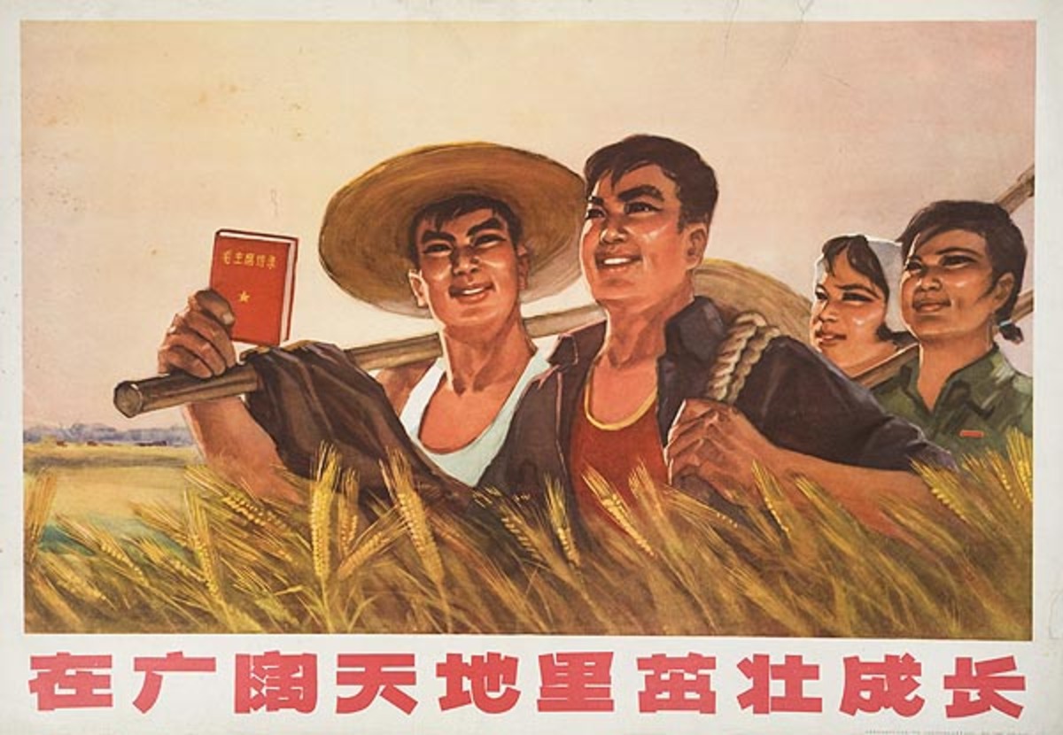 AAA Grow Strongly Under the Broad Sky and Earth Original Chinese Cultural Revolution Poster 