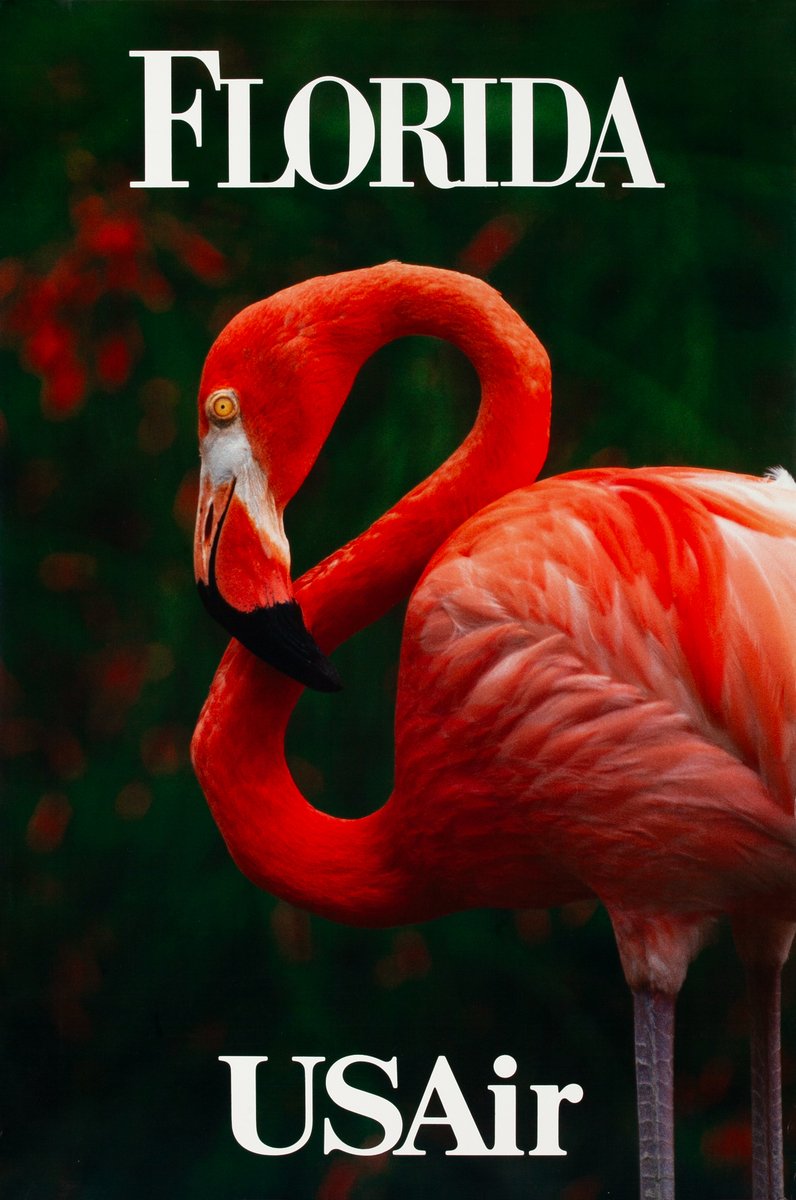Florida USAir Travel Poster Pink Flamingo