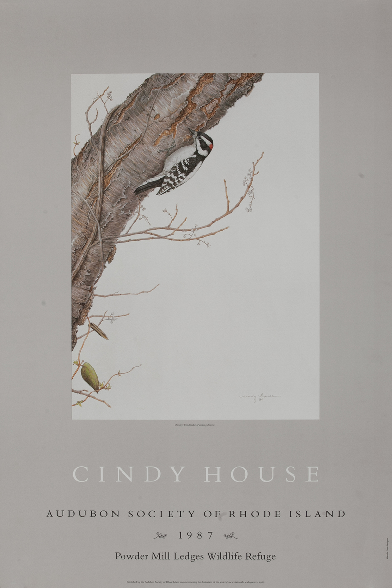 Cindy House Audubon Society of Rhode Island Exhibit Poster