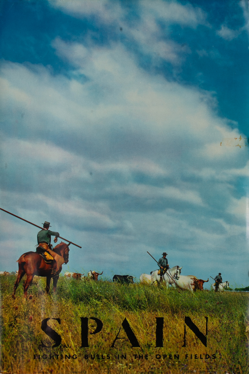 Spain Fighting Bulls in the Open Fields Travel Poster