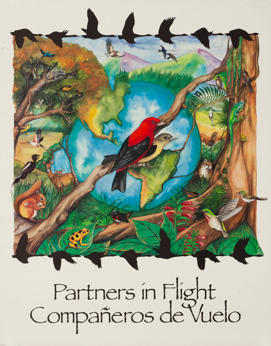 Partners in Flight Compañeros de Vuelo Exhibit Poster 
