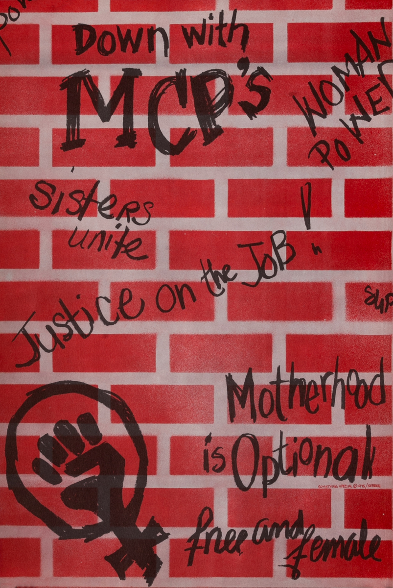 Down With MCPs  - Women's Liberation Equal Rights Poster 