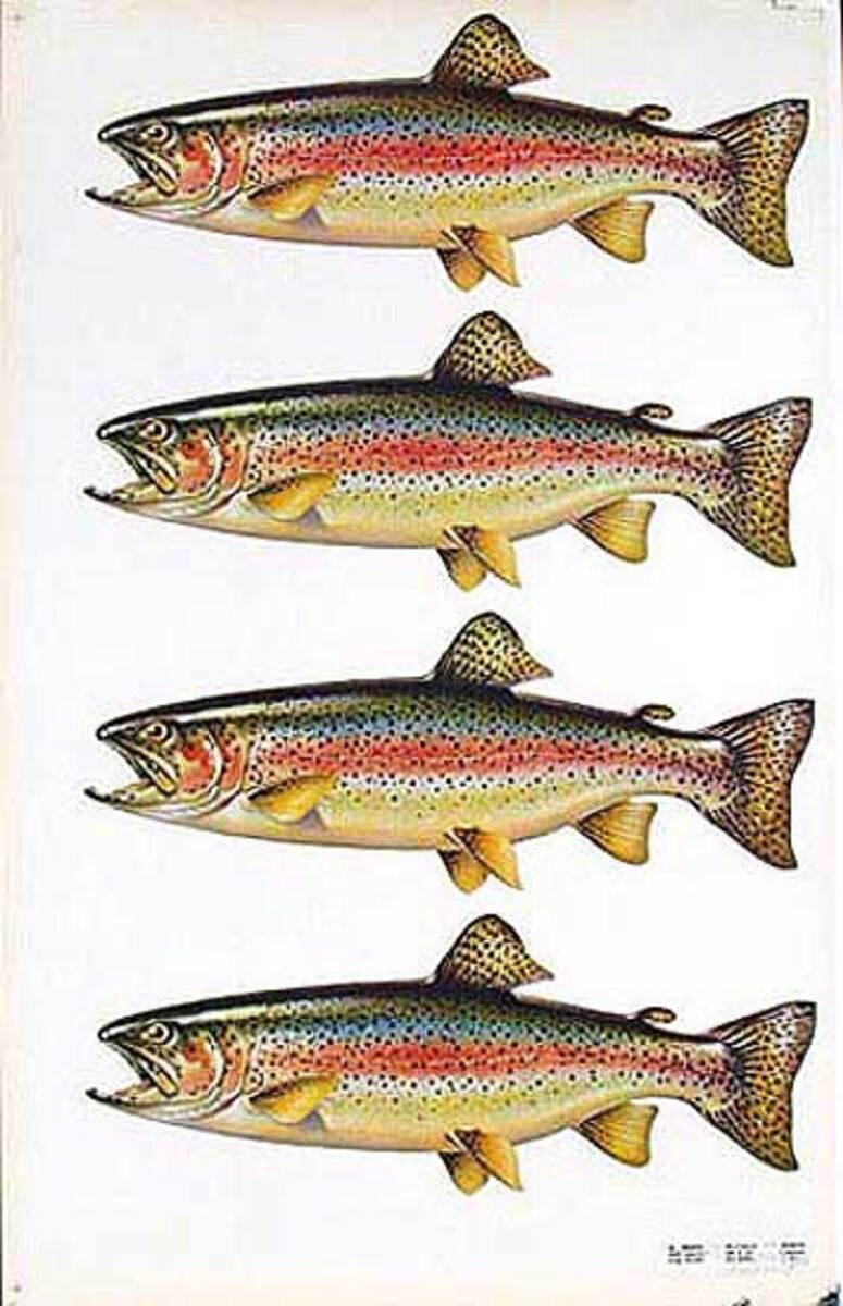 1950s Diner Poster Trout