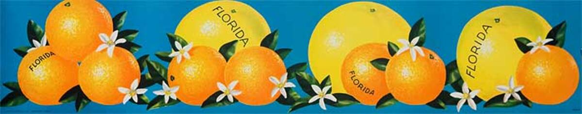 Florida Oranges and Graperfruits  Original American Advertising Poster blue