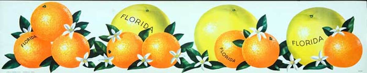 Florida Oranges and Graperfruits  Original American Advertising Poster white