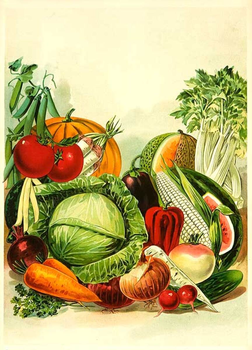 Vegetables Original Amerian Stock Advertising Poster