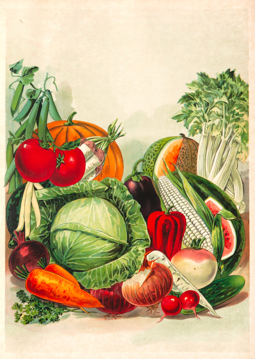 Fruits and Vegetables Original American Stock Advertising Poster