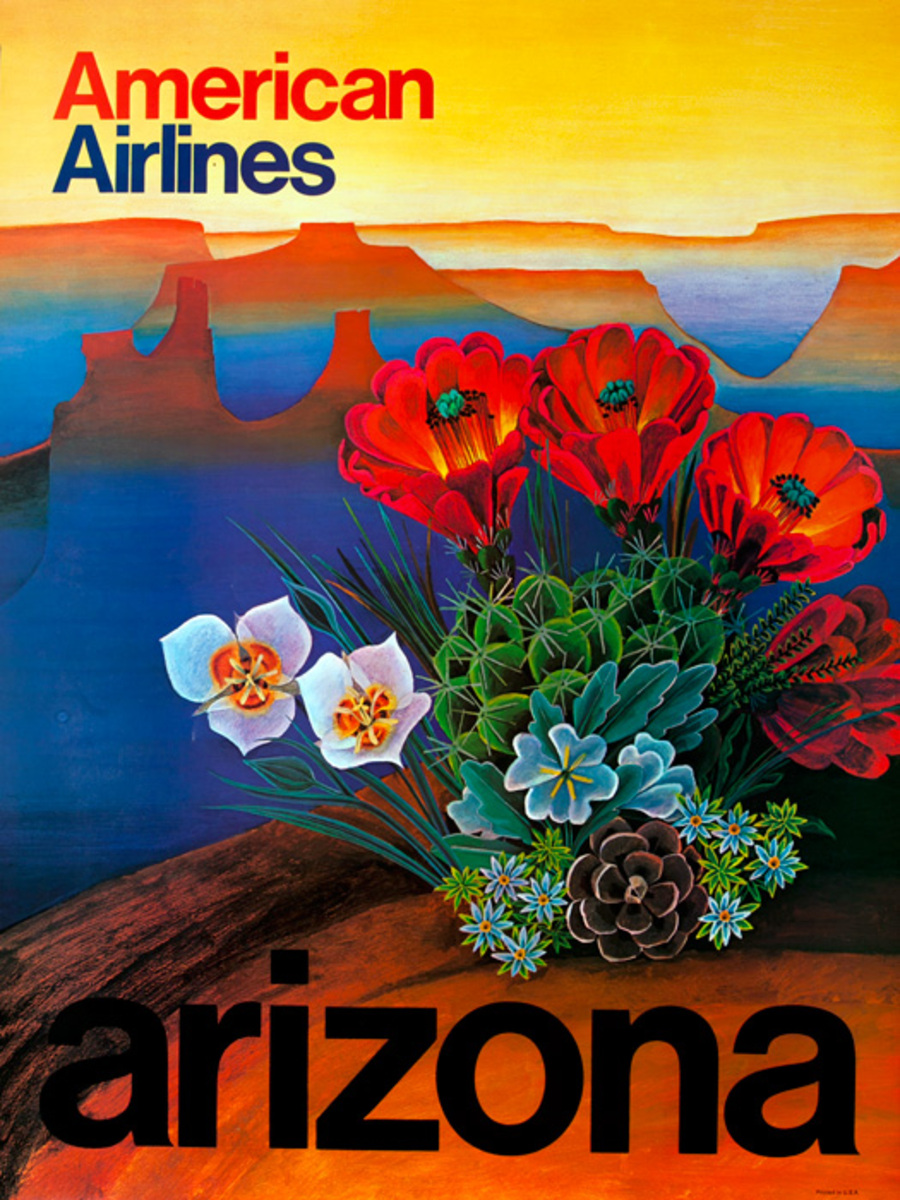 Arizona Cactus Flowers American Airlines Travel Poster