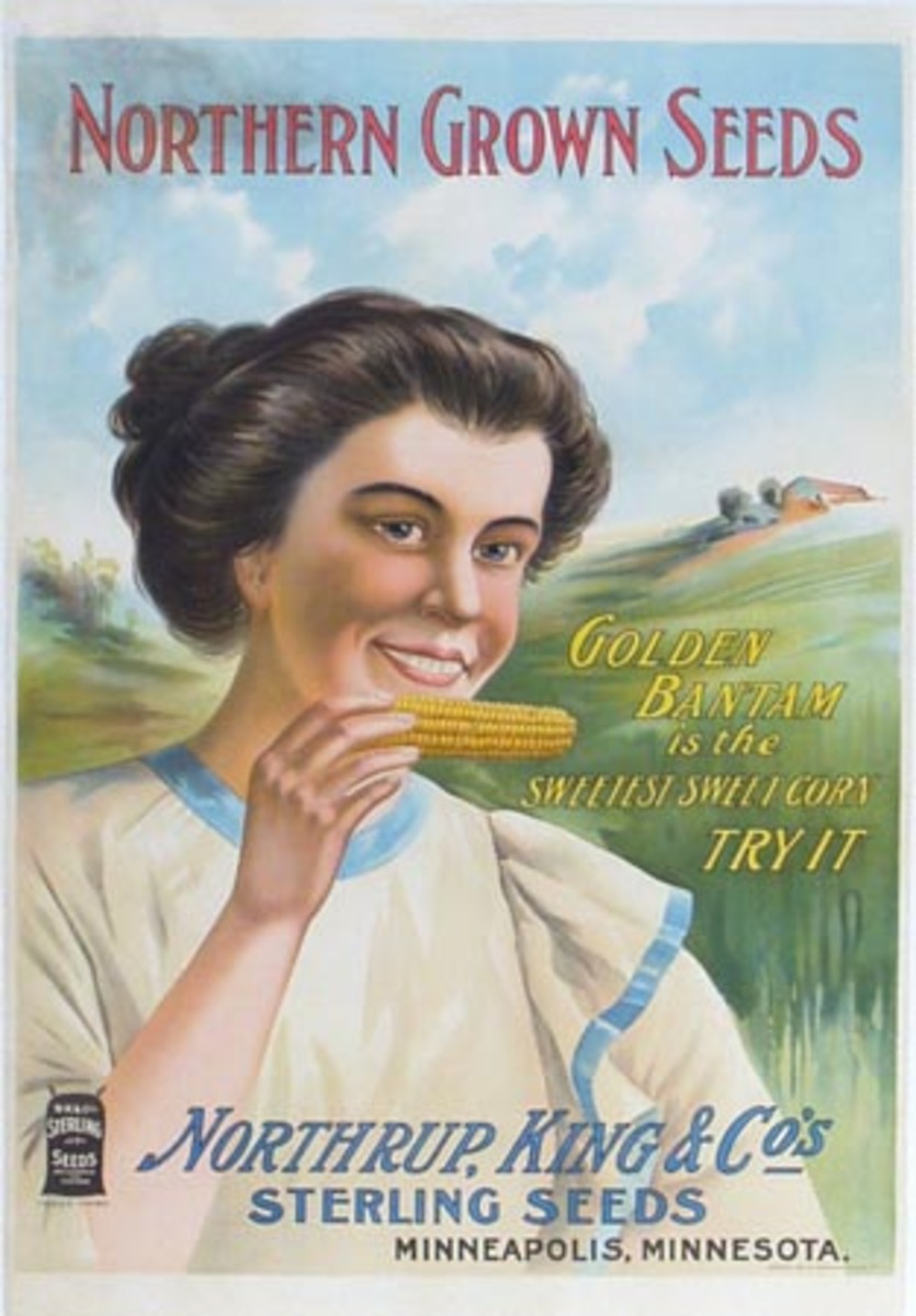 Northern Seed Corn Original Advertising Poster