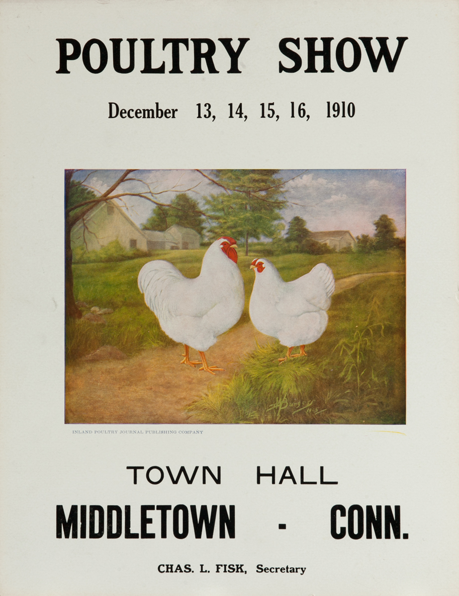Poultry Show Middletown Conn 2 white birds in front of farmhouse