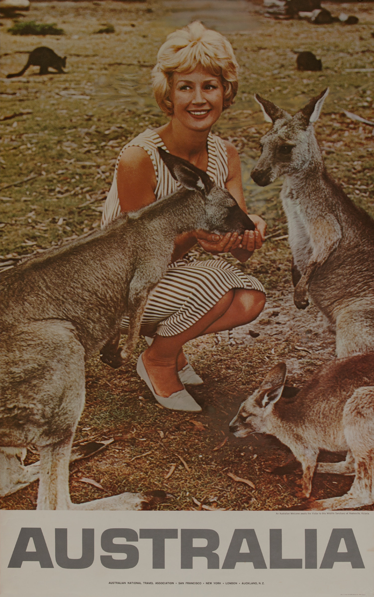 Original Australia Travel Poster Woman With Kangaroos Photo