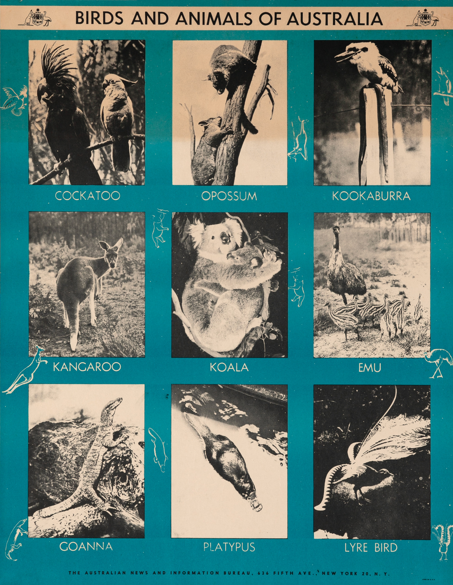 Birds and Aminals of Australia Original Poster
