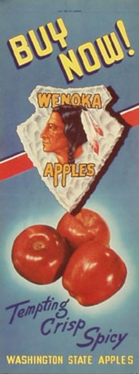 Original Washington State Apple Advertising Poster Wenoka Apples