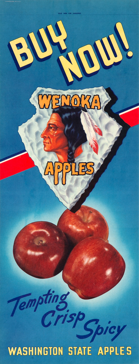 Original Washington State Apple Advertising Poster Wenoka Apples