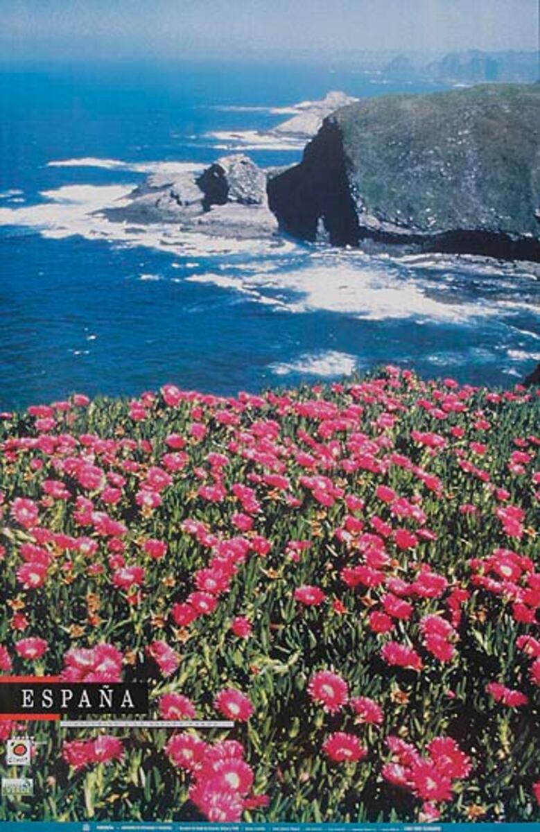 Original Spanish Travel Poster coastal flower photo
