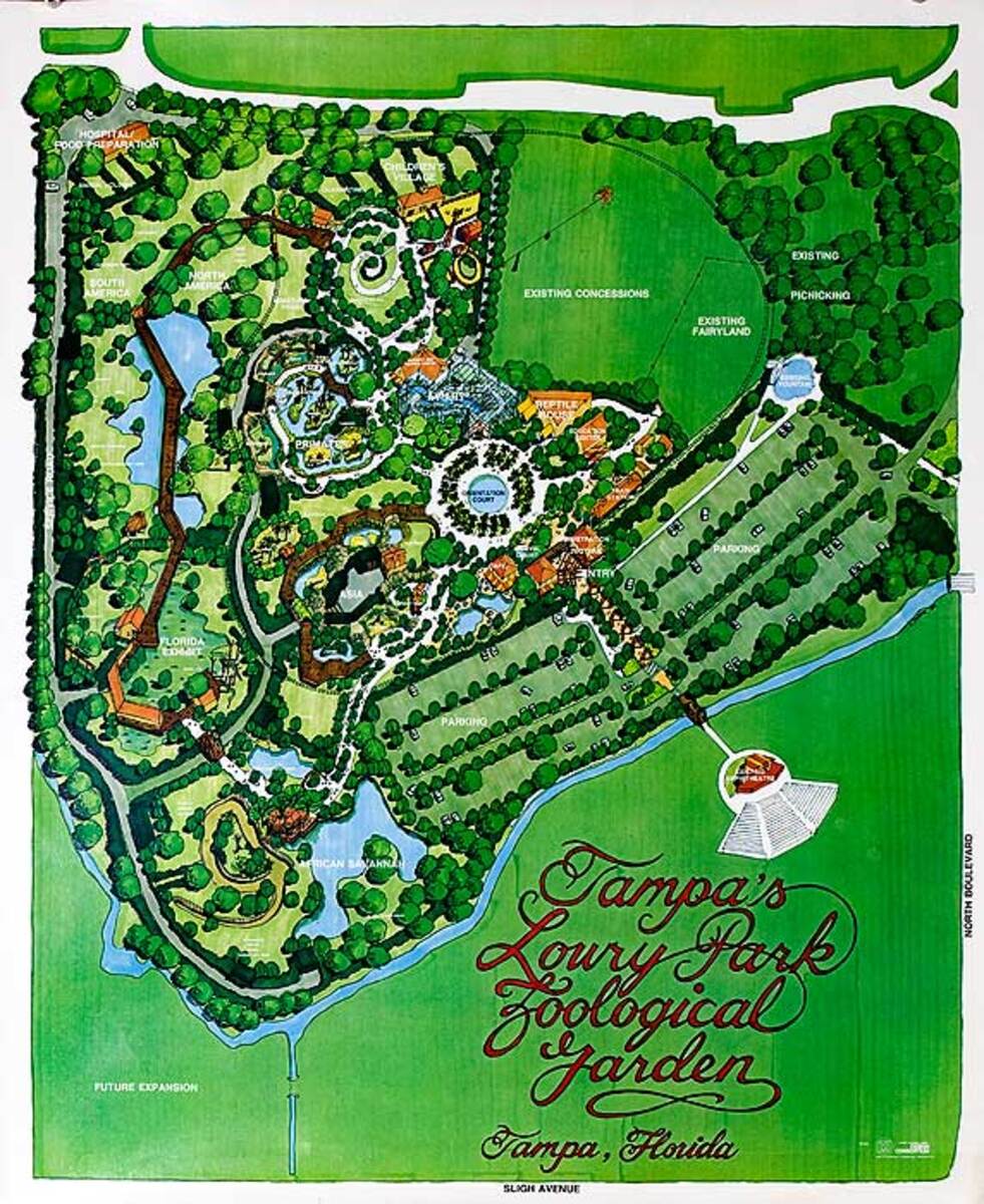 Tampa Loury Park Florida Original Travel Poster