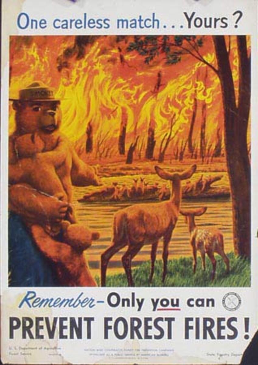 Prevent Forest Fires Original Vintage Smokey Fire Prevention Poster
