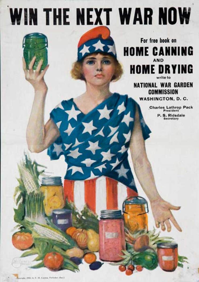 Win the Next War Now Home Canning Home Drying Original WWI Conservation Poster