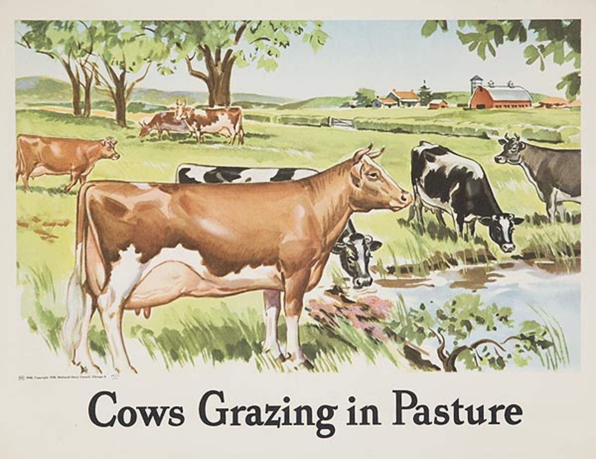 Cows Grazing in Pasture Original Dairy Council Promotional Poster