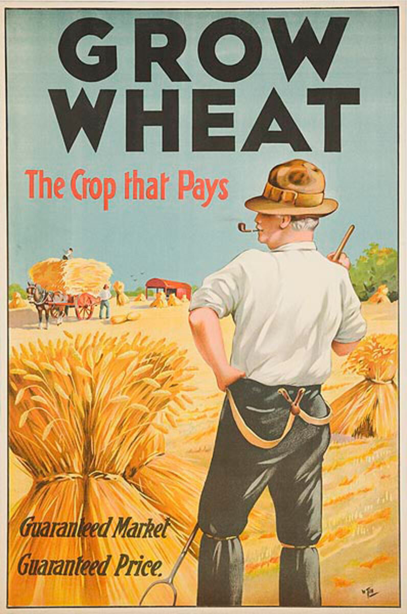 Grow Wheat The Crop That Pays Original Irish Poster
