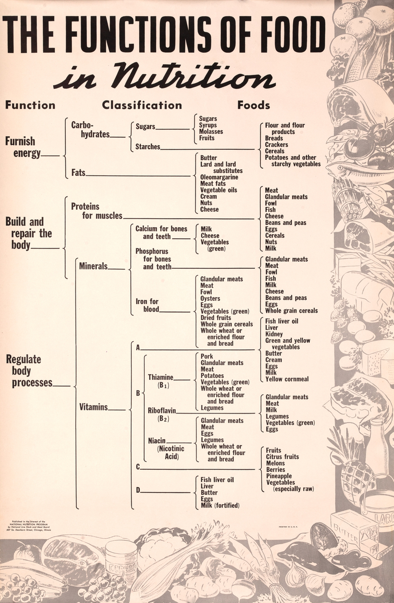 The Functions of Food in Nutrition Chart Original American WWII Homefront Nutrition Poster