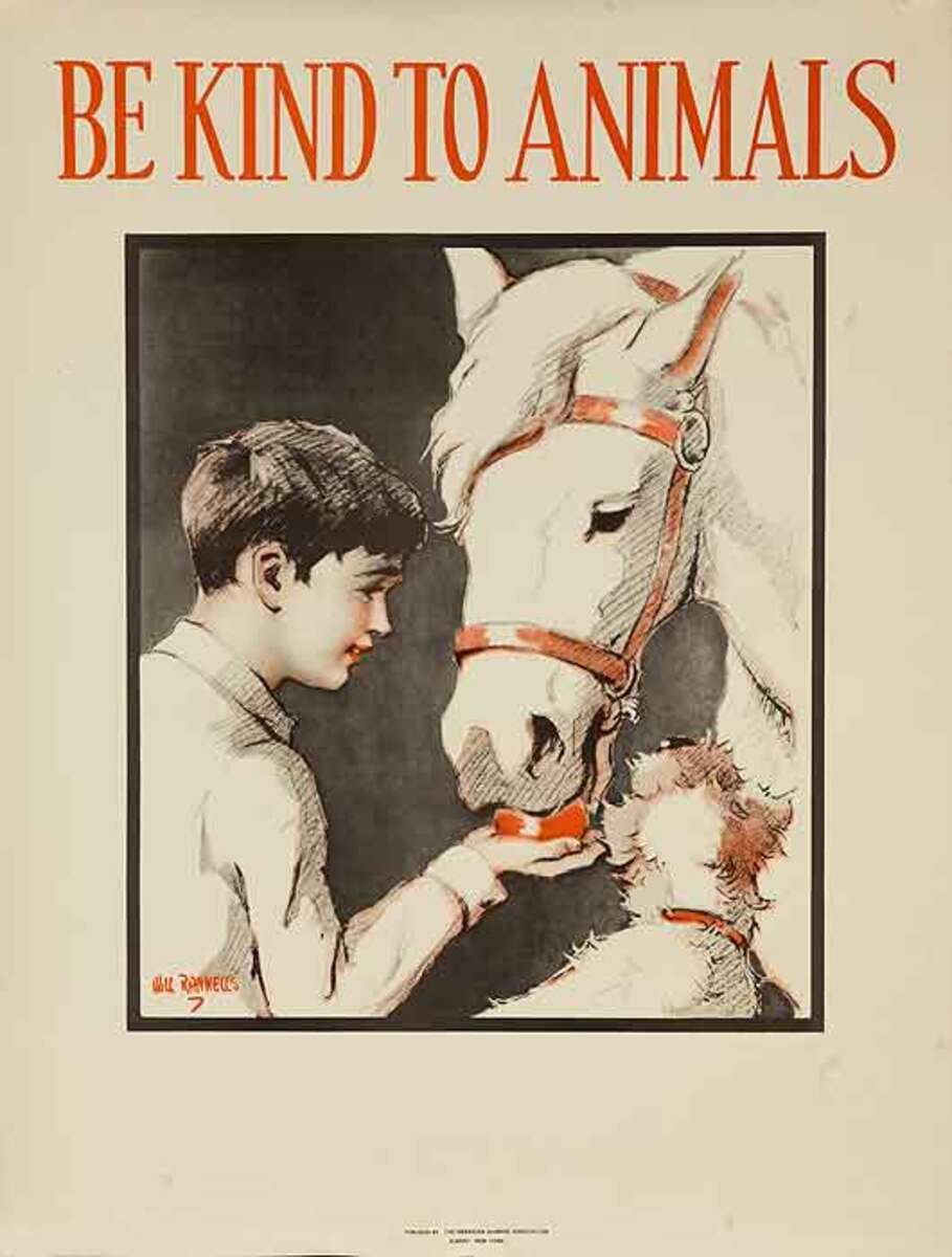 Be Kind To Animals Original American Animal Rights Poster Horse Stall