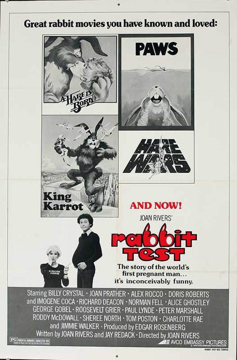 Rabbit Test Original American One Sheet Movie Poster