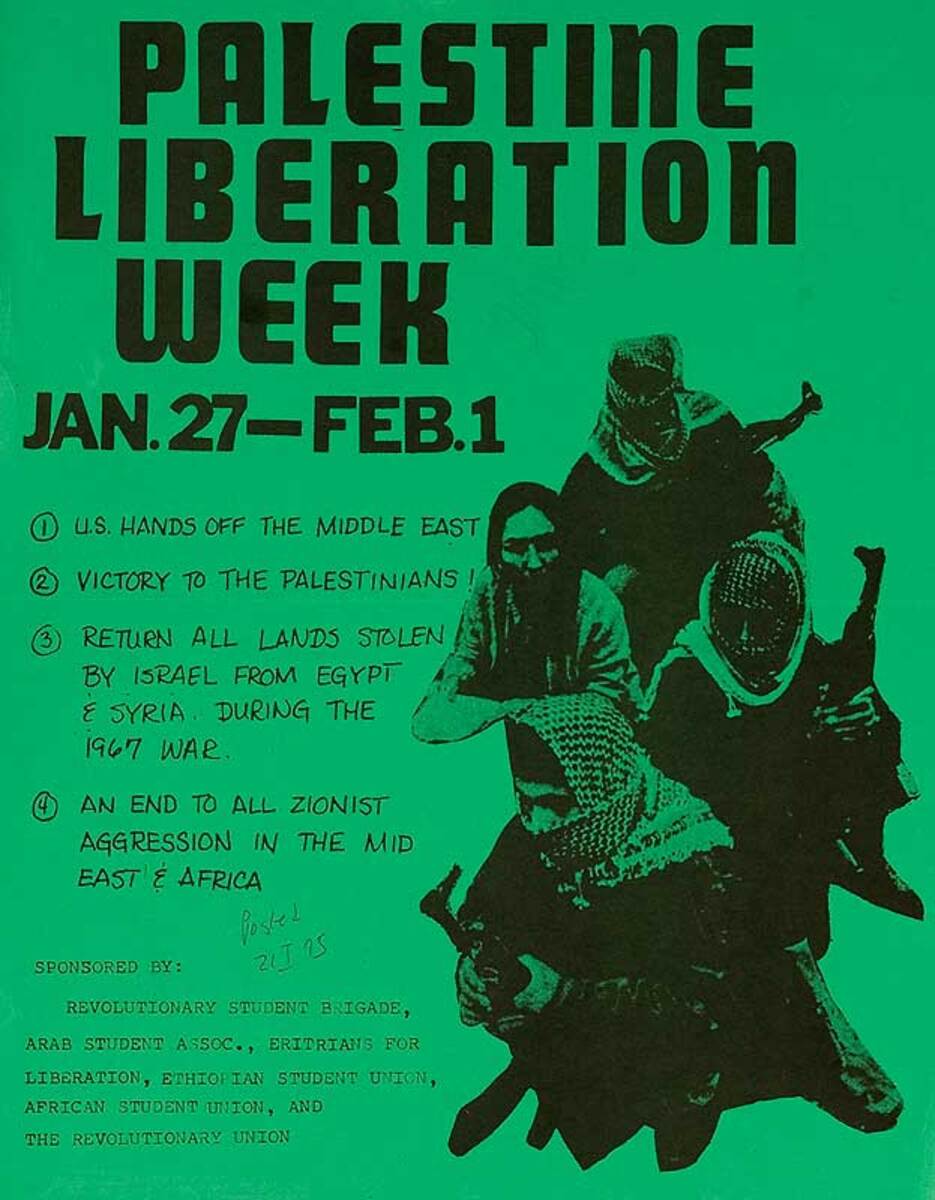 Palestine Liberation Week Original American Protest Poster