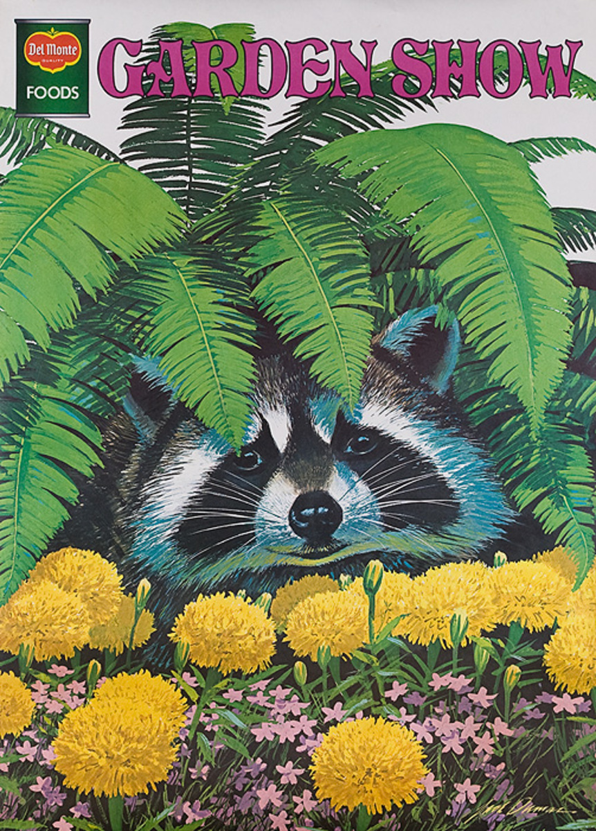 Del Monte Garden Show Original American Advertising Poster Racoon